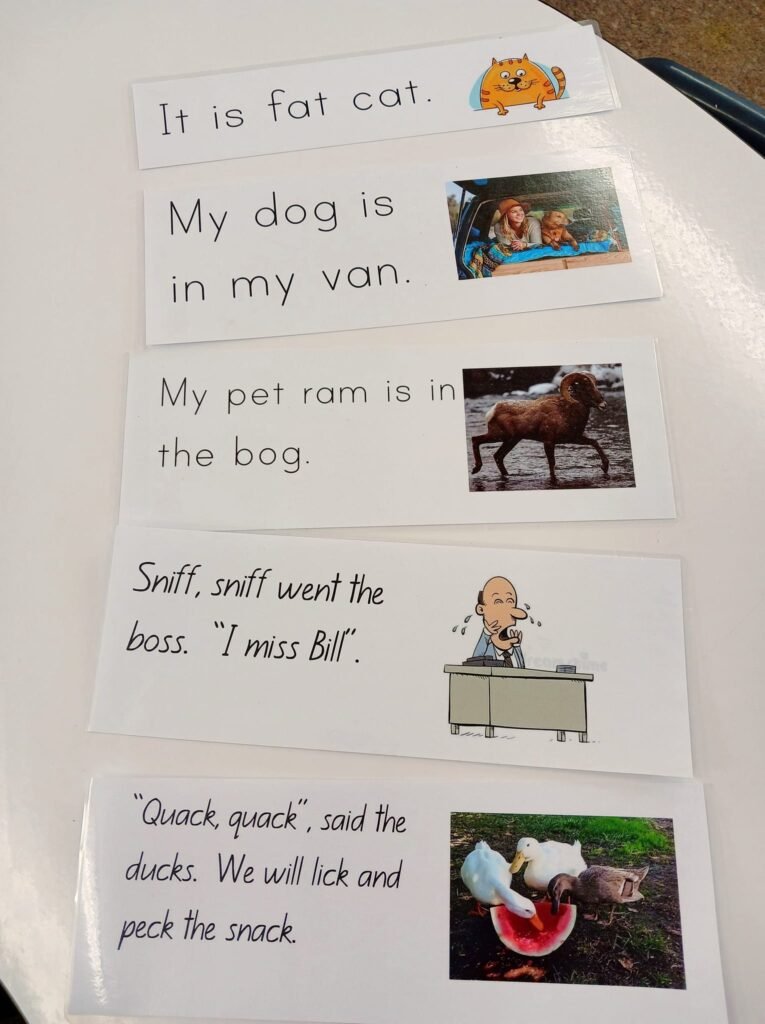 Pack 7 – Sentence Strips